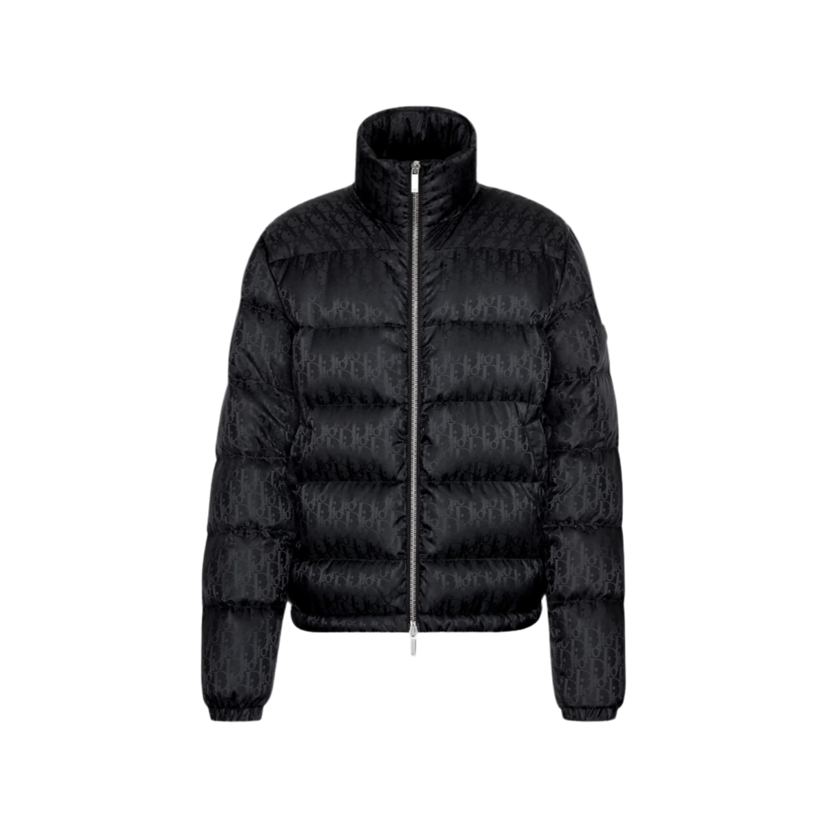 Dior Oblique Jacket